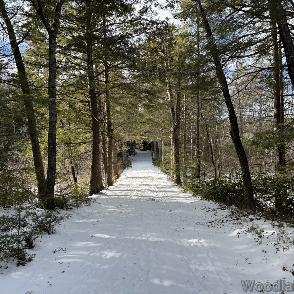 2026-01-04_123452_00