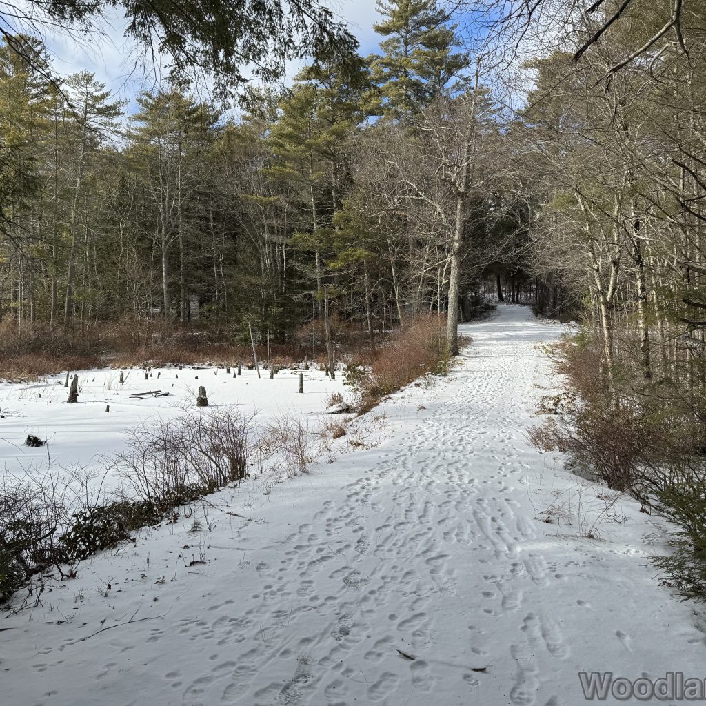 2026-01-04_123844_00