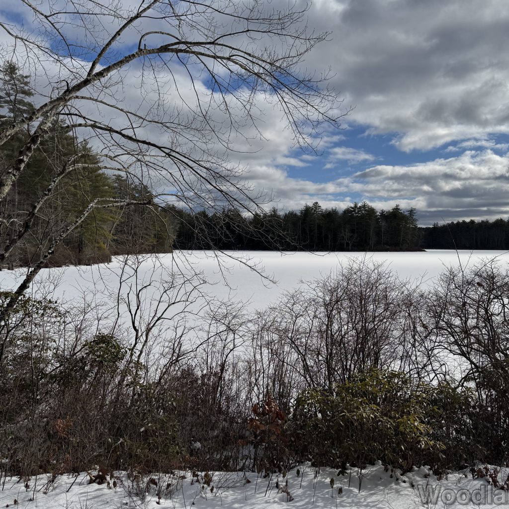 2026-01-04_124049_00