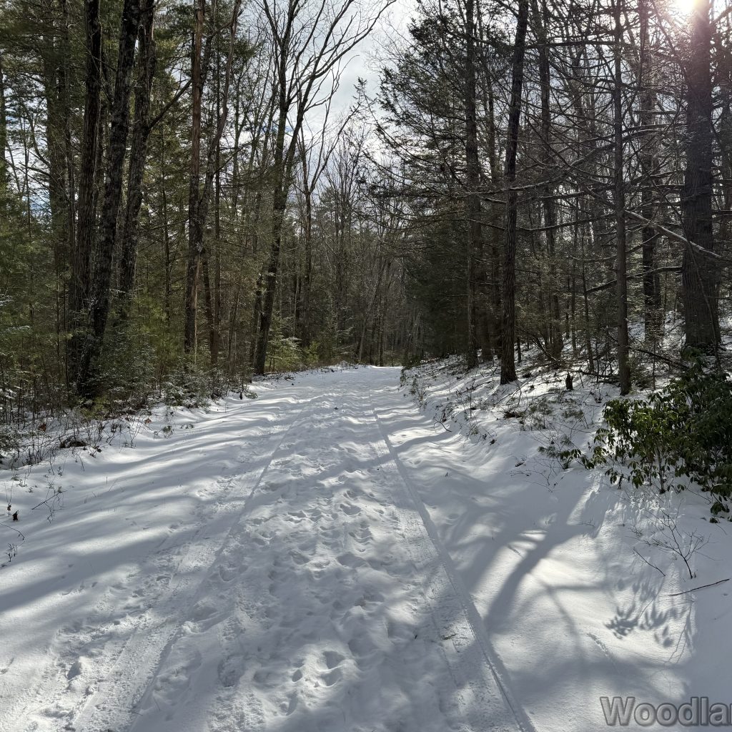 2026-01-04_124810_00