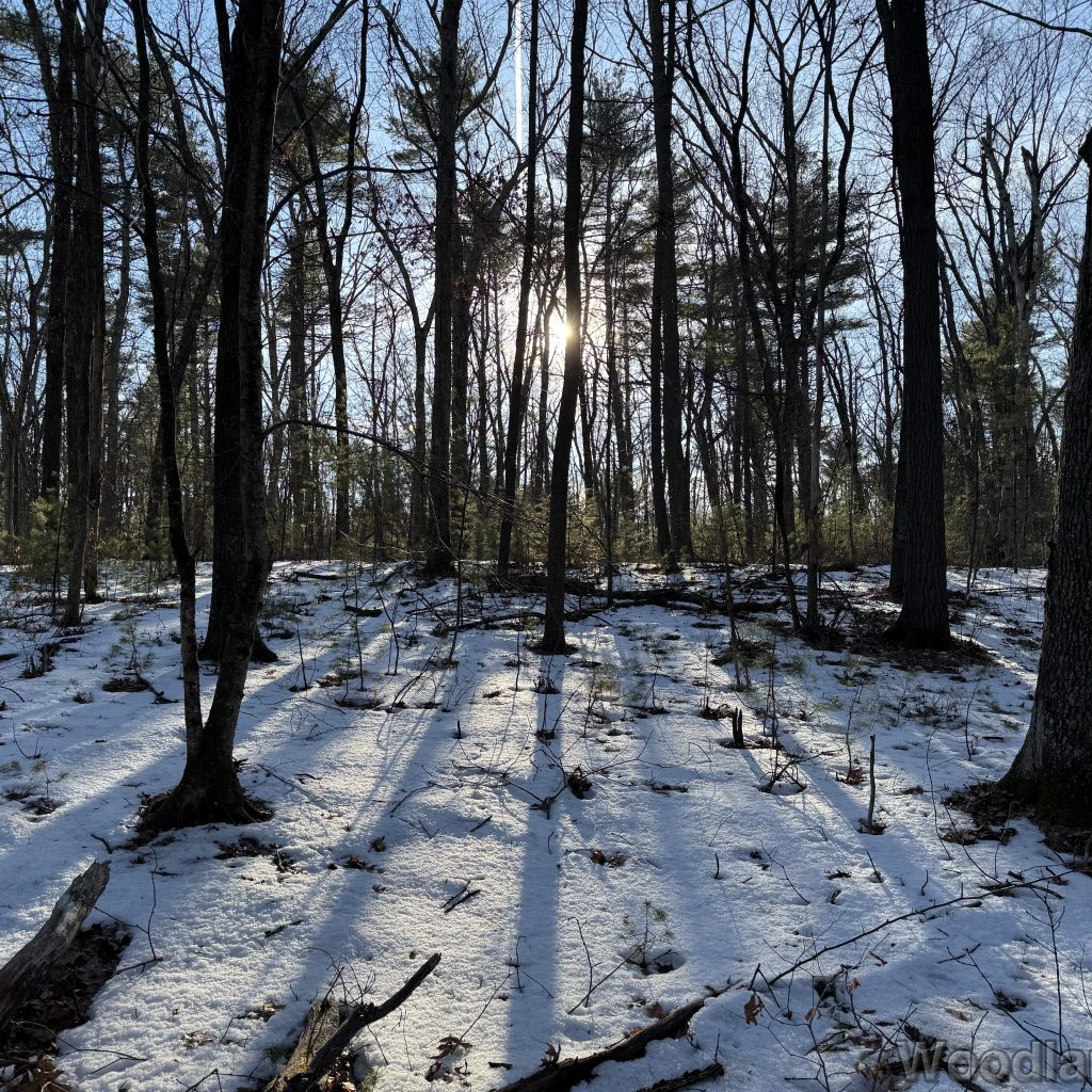 2026-01-13_143823_00