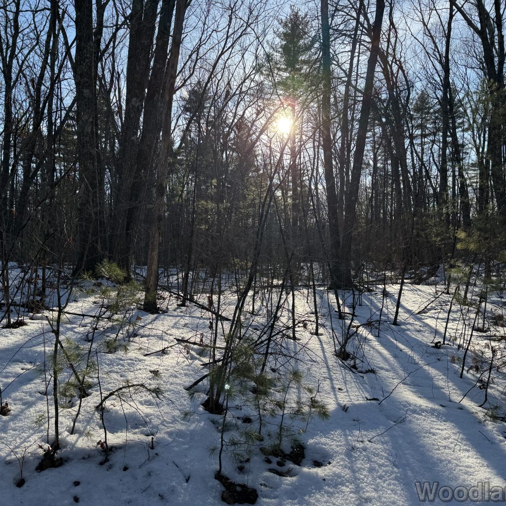 2026-01-13_144055_00