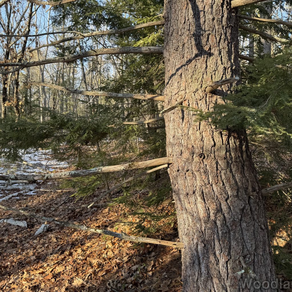 2026-01-13_144606_00