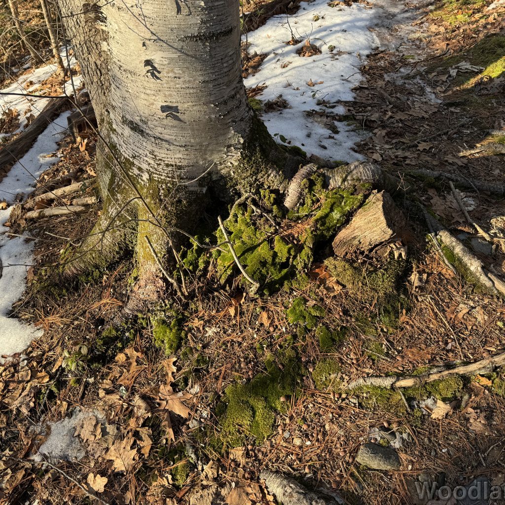 2026-01-13_145026_00