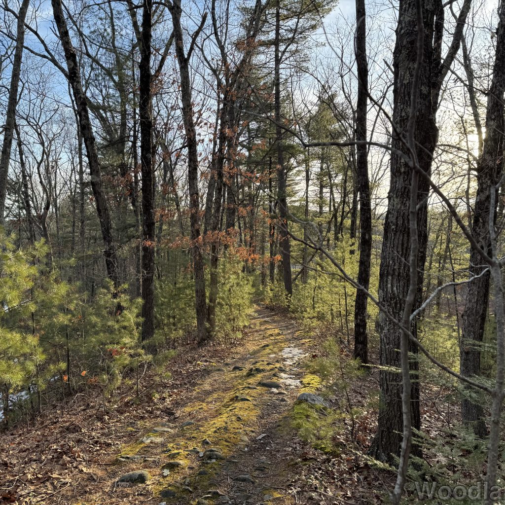 2026-01-13_152514_00