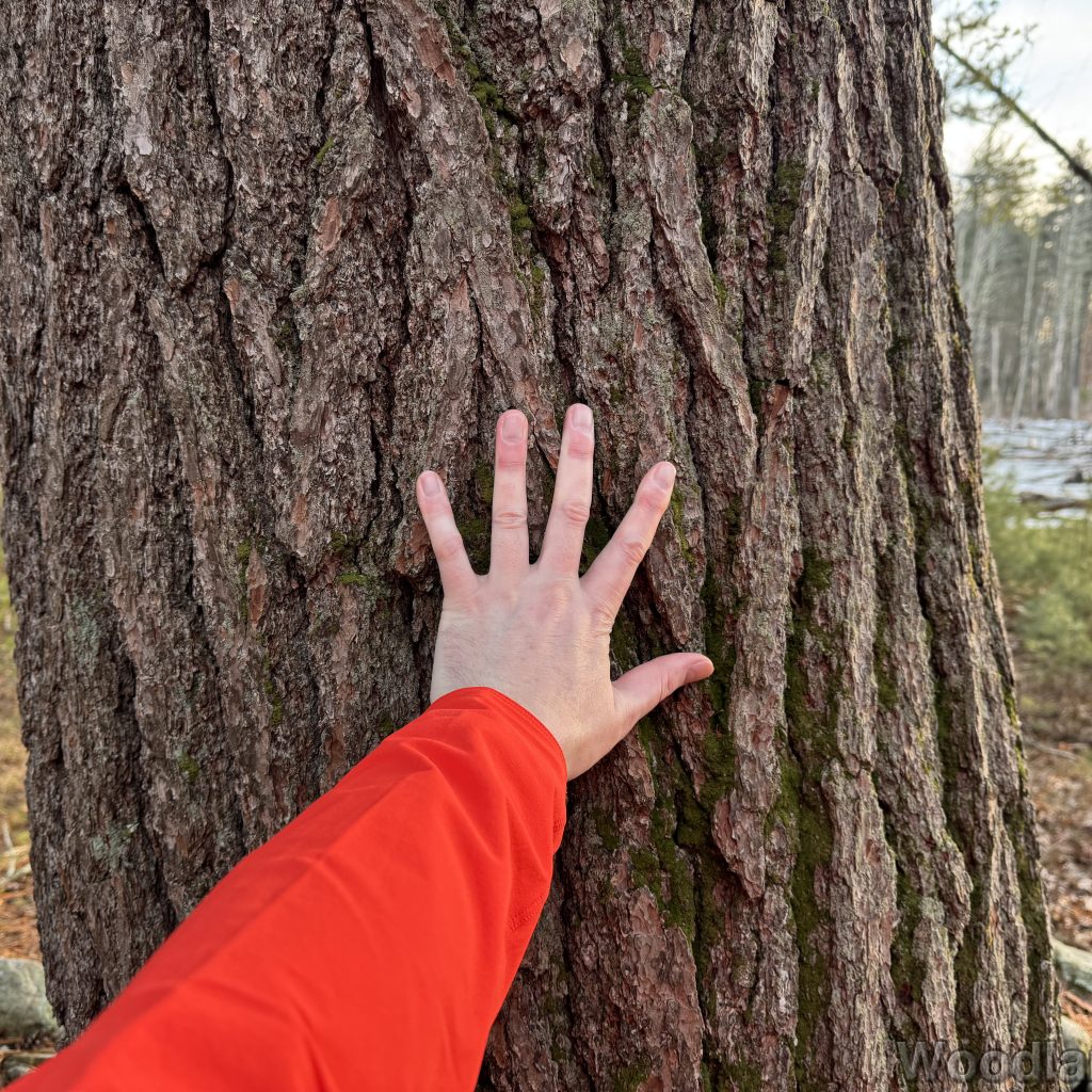 2026-01-13_153528_00