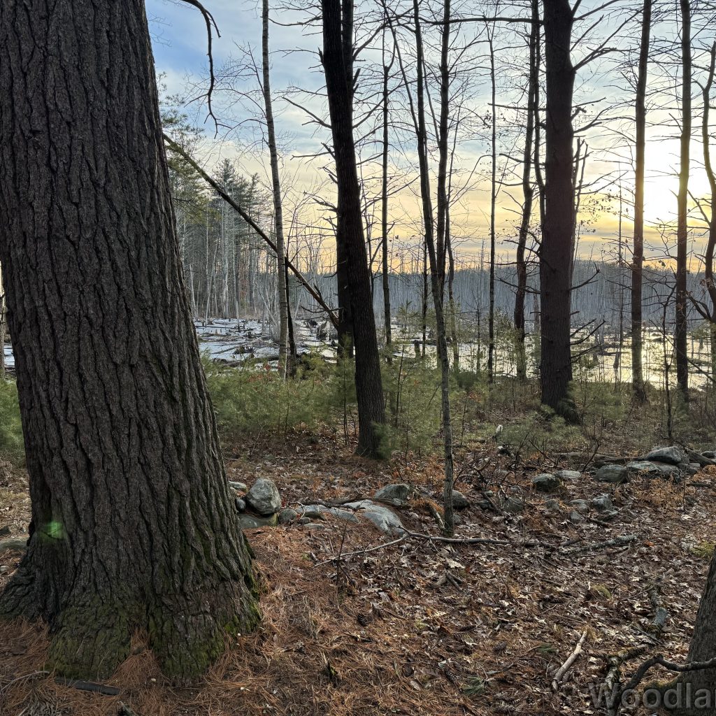 2026-01-13_153547_00