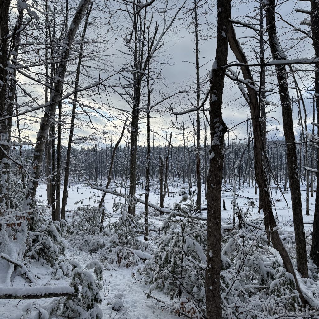 2026-01-19_135948_00