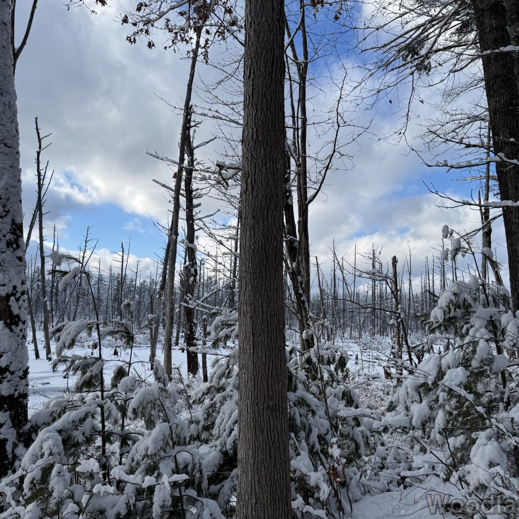 2026-01-19_140025_00