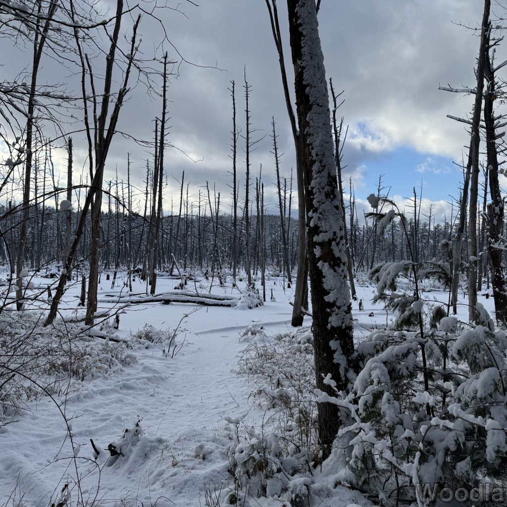 2026-01-19_140032_00