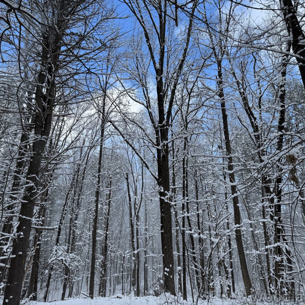 2026-01-19_140436_00