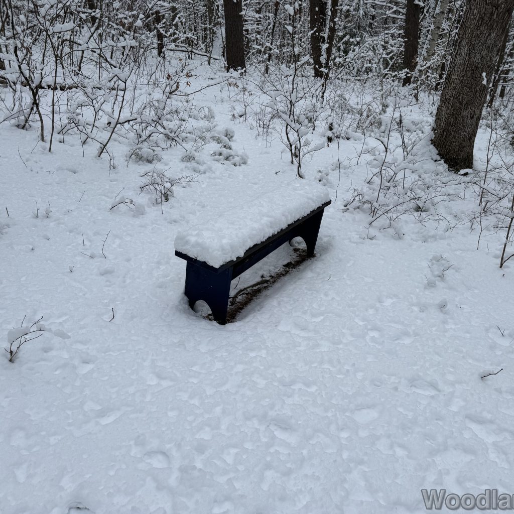 2026-01-19_142009_00