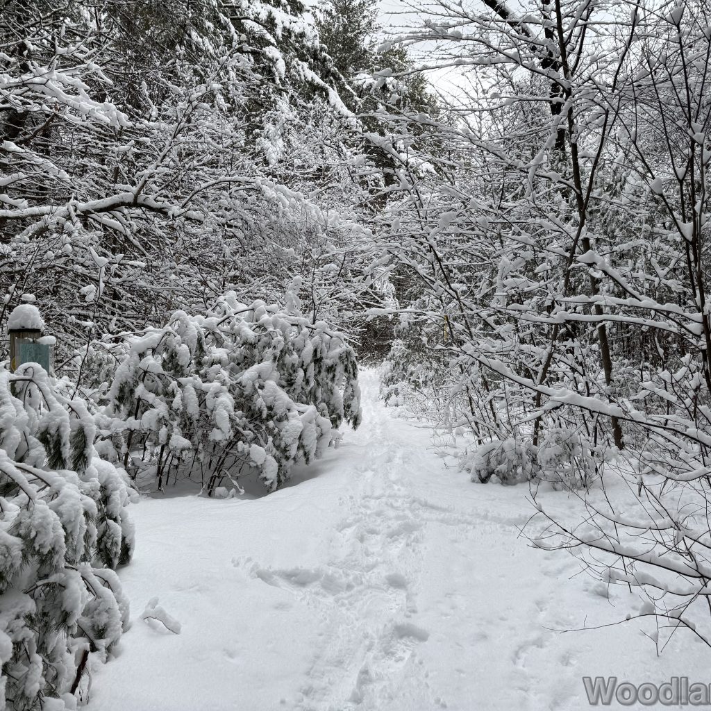 2026-01-19_142230_00