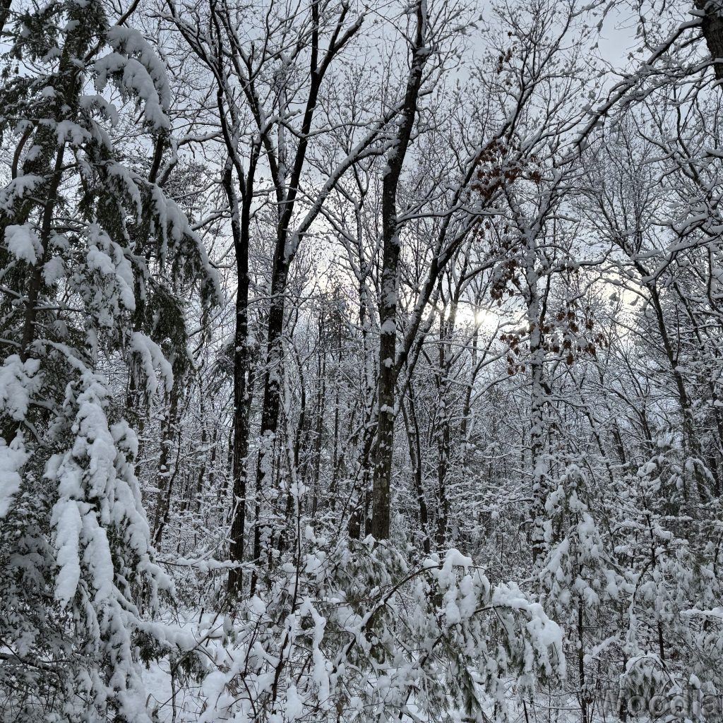 2026-01-19_144349_00