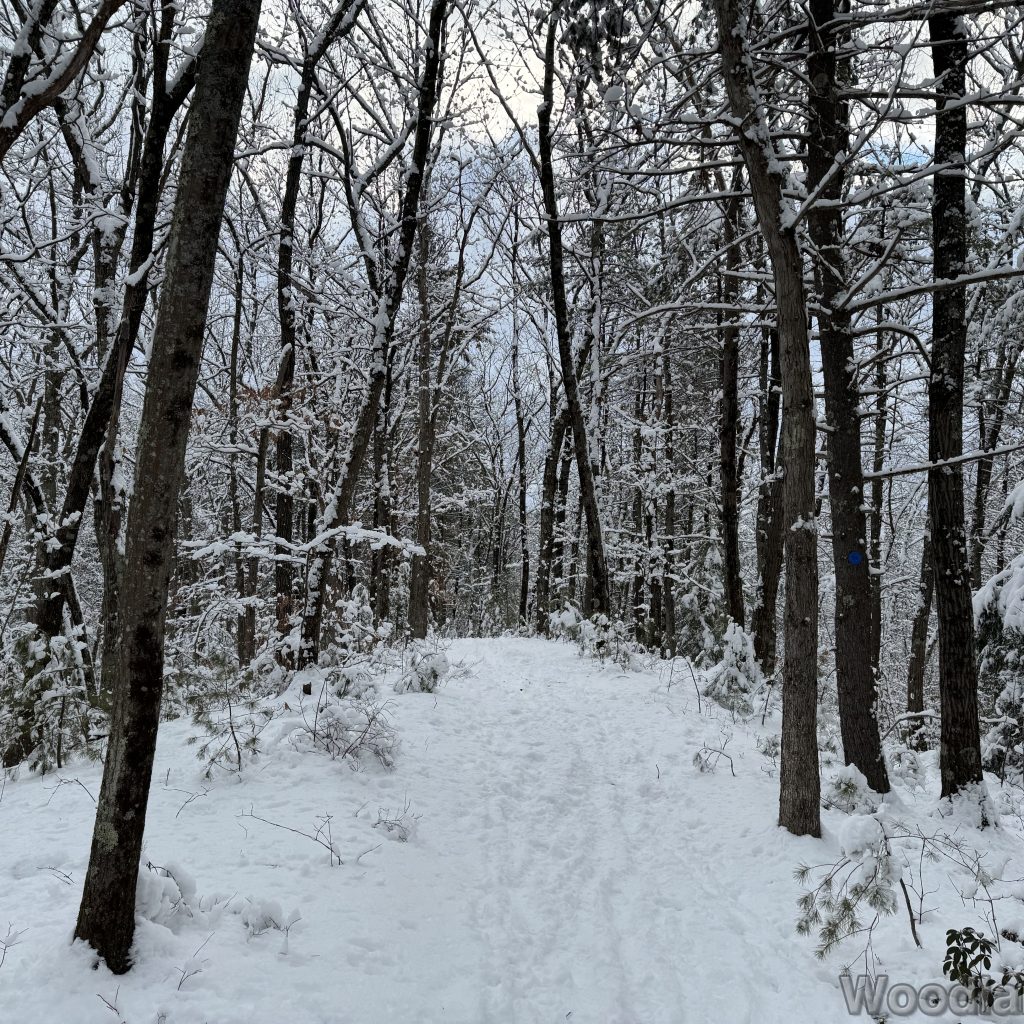 2026-01-19_144550_00