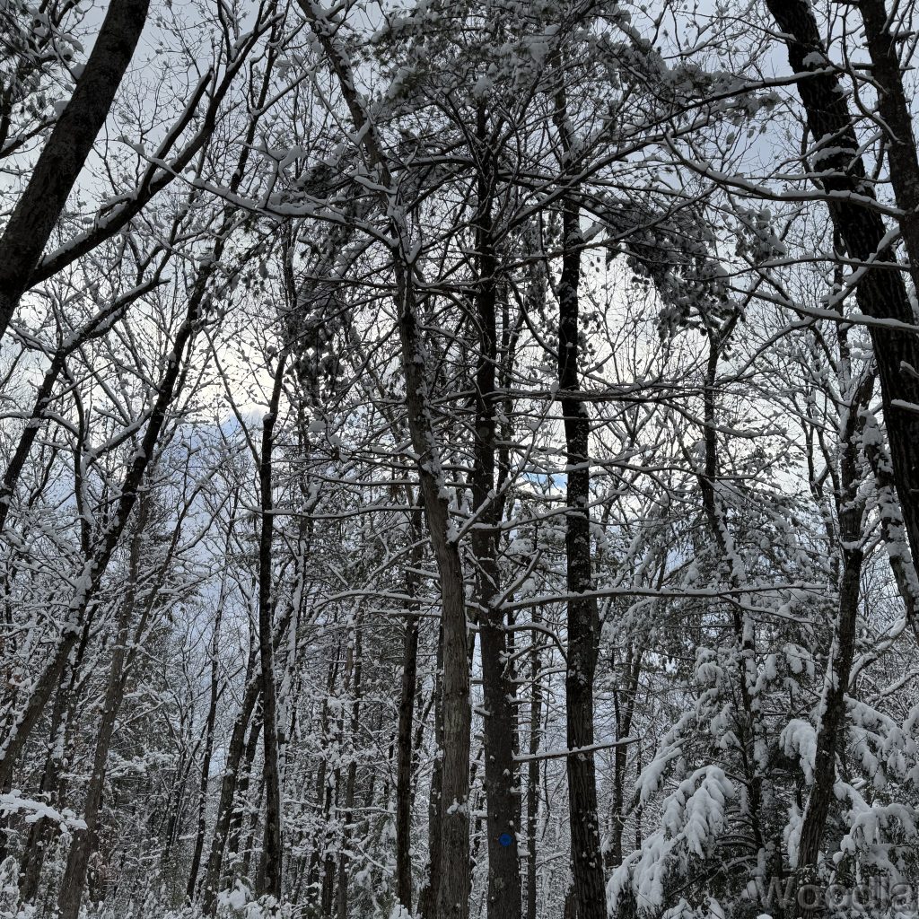 2026-01-19_144556_00