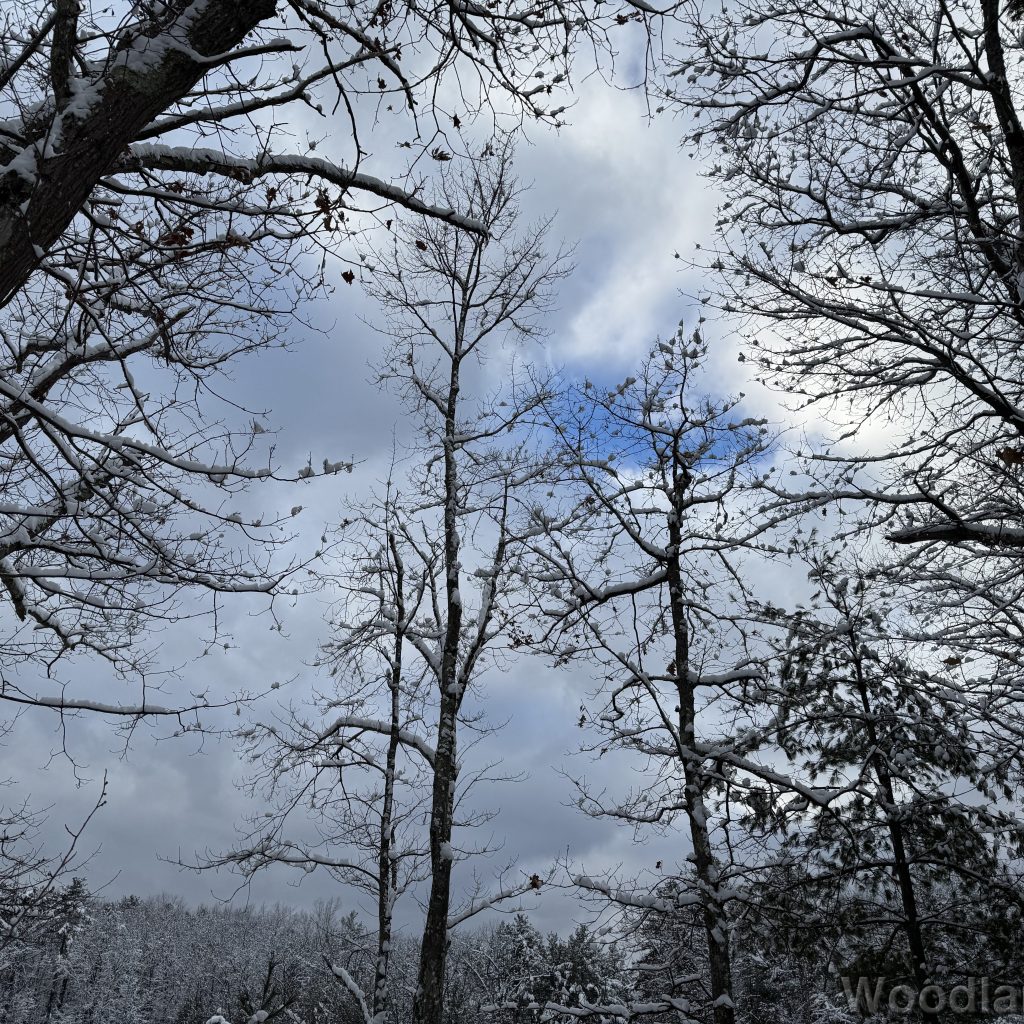 2026-01-19_144949_00