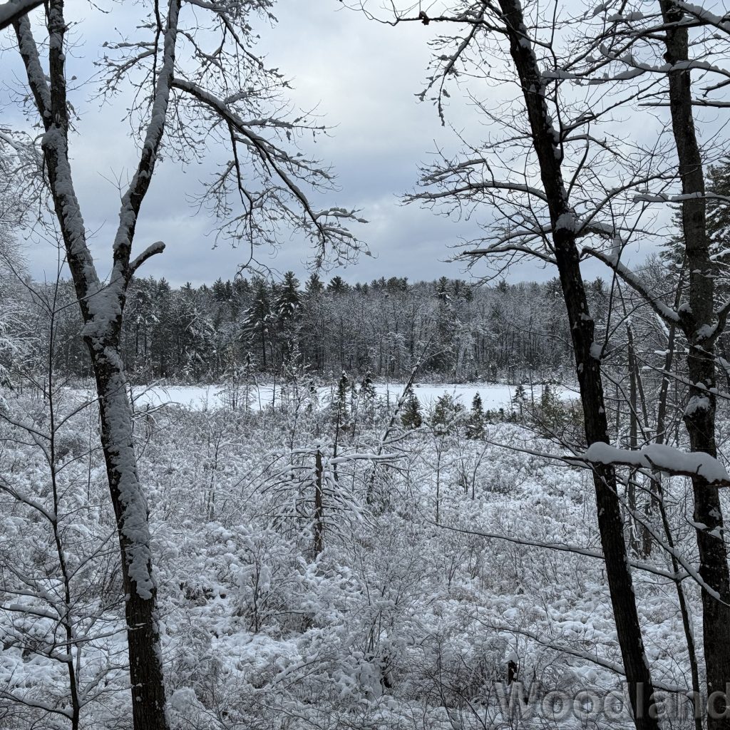 2026-01-19_145607_00