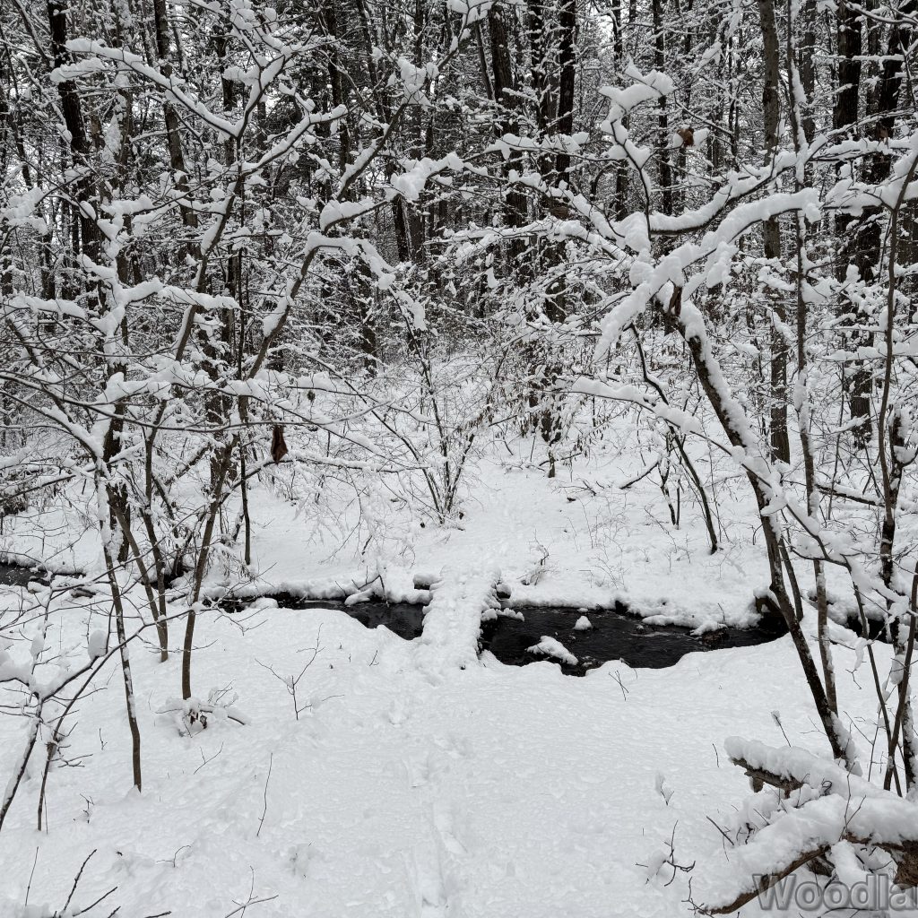 2026-01-19_150814_00