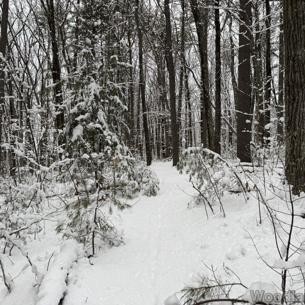 2026-01-19_151204_00