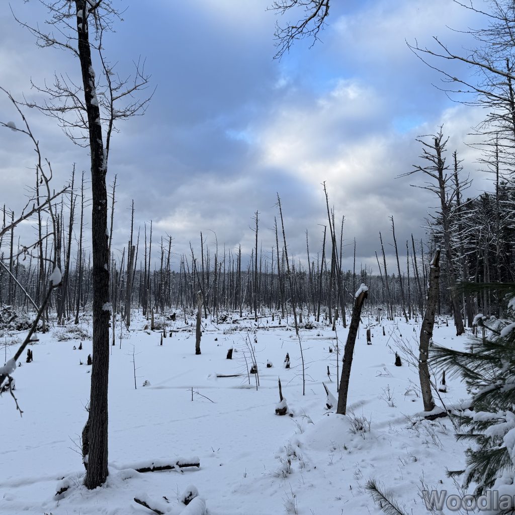 2026-01-19_152241_00