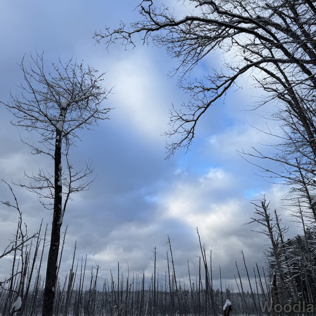 2026-01-19_152248_00