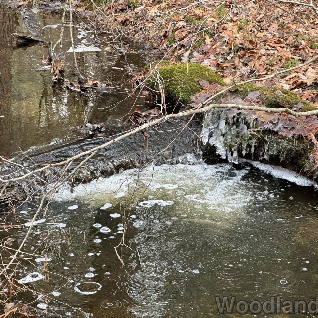 2023-12-09_120928_00