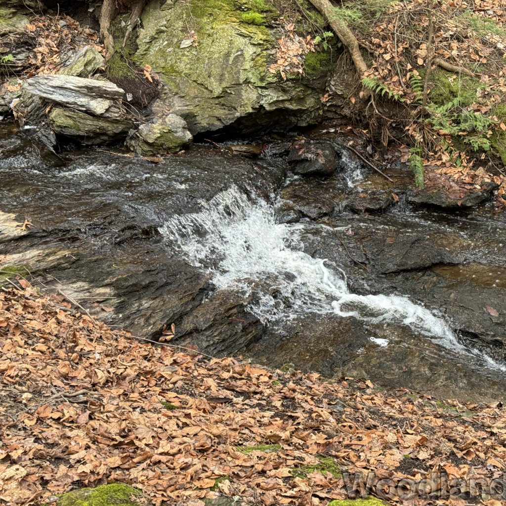 2024-01-01_104846_00