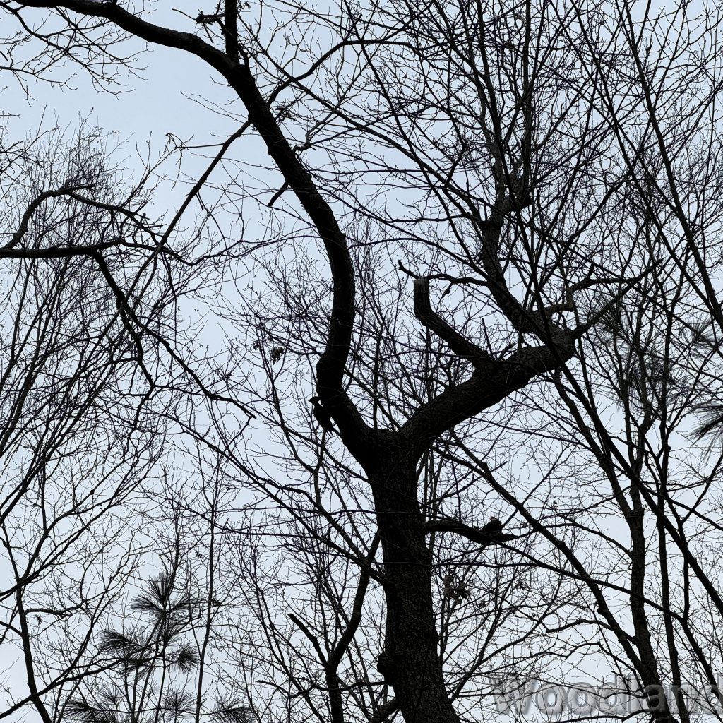 2024-01-06_094032_00