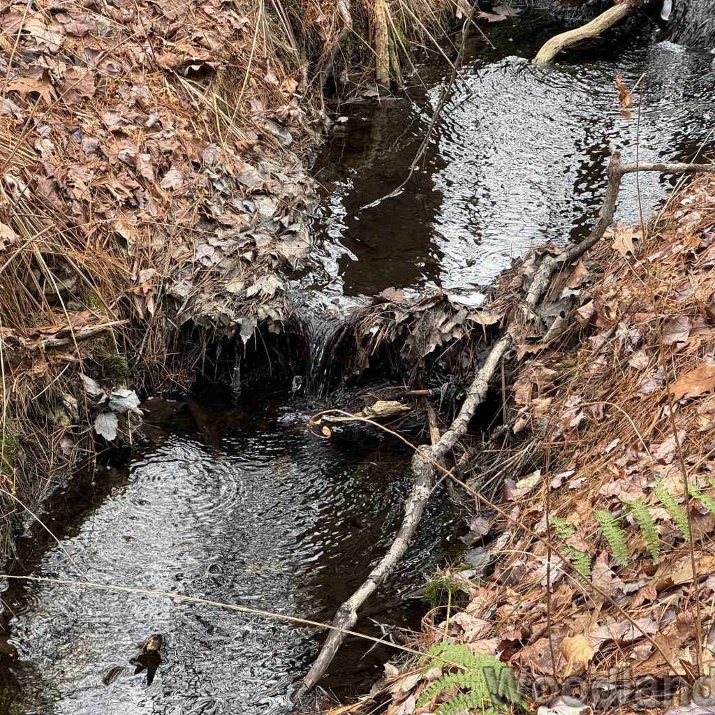 2024-01-06_110851_00