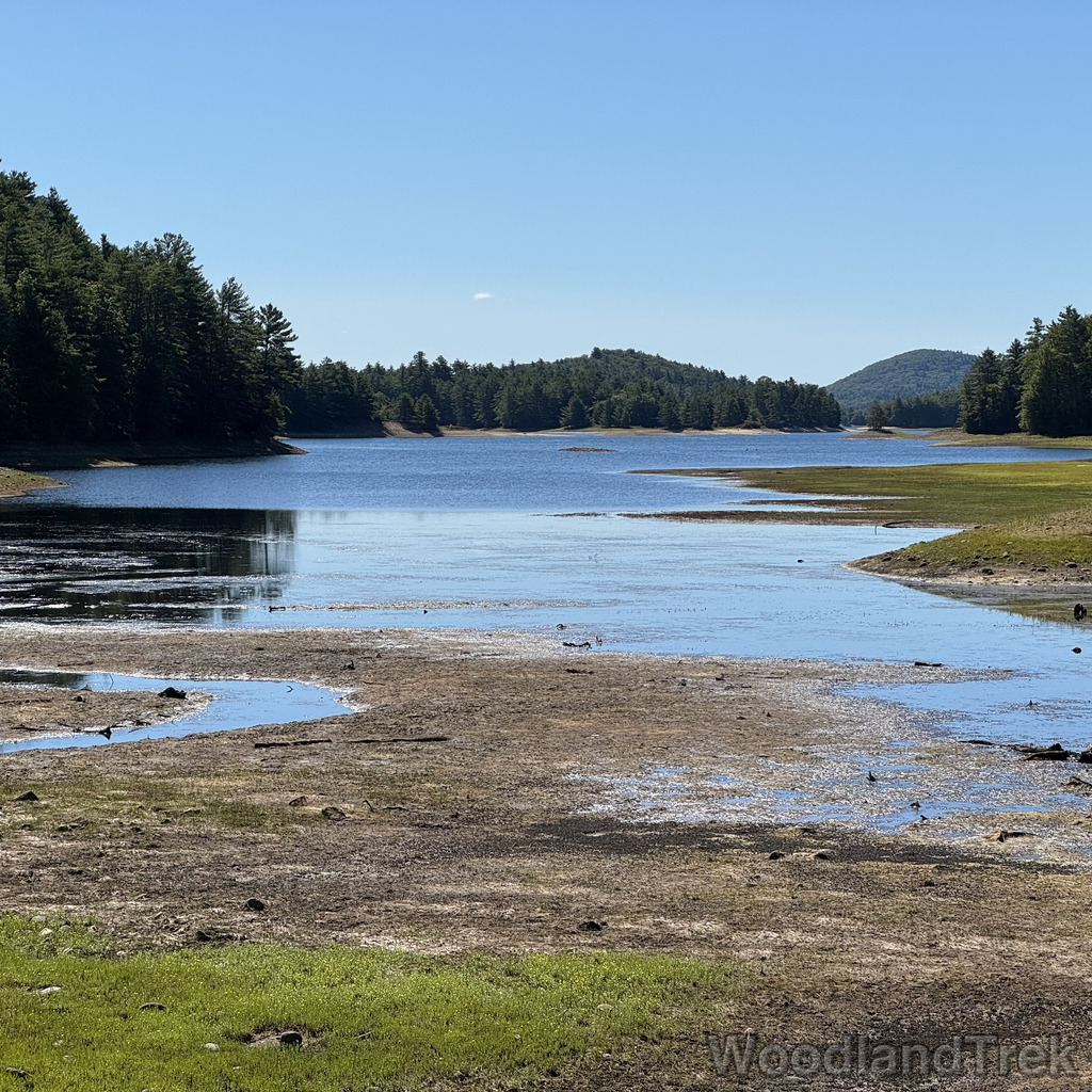 Reservoir with low water, grassy shoreline, and distant hill