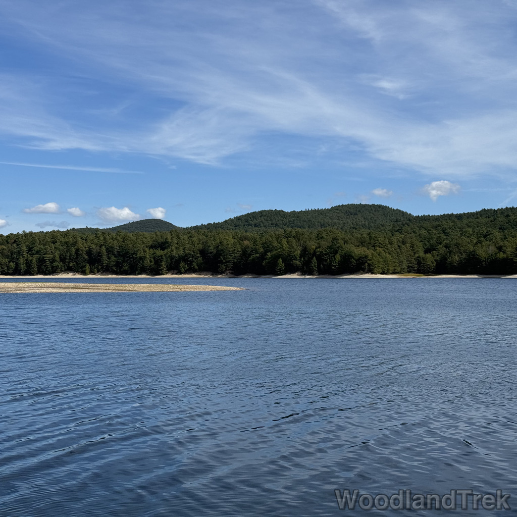 Water with subtle waves, dark green forest, hills in the distance, and wispy clouds
