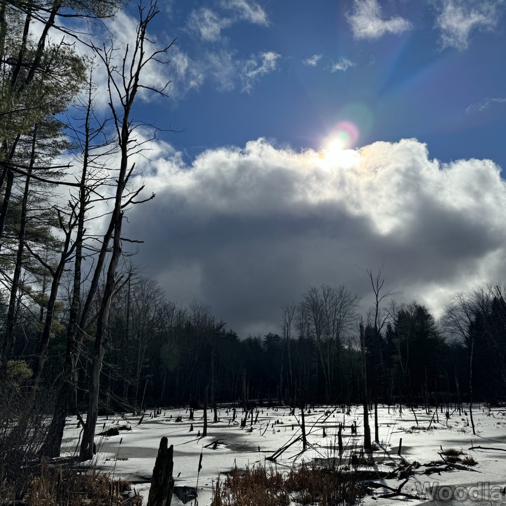 Sun shining from behind a dark cloud above a frozen pond