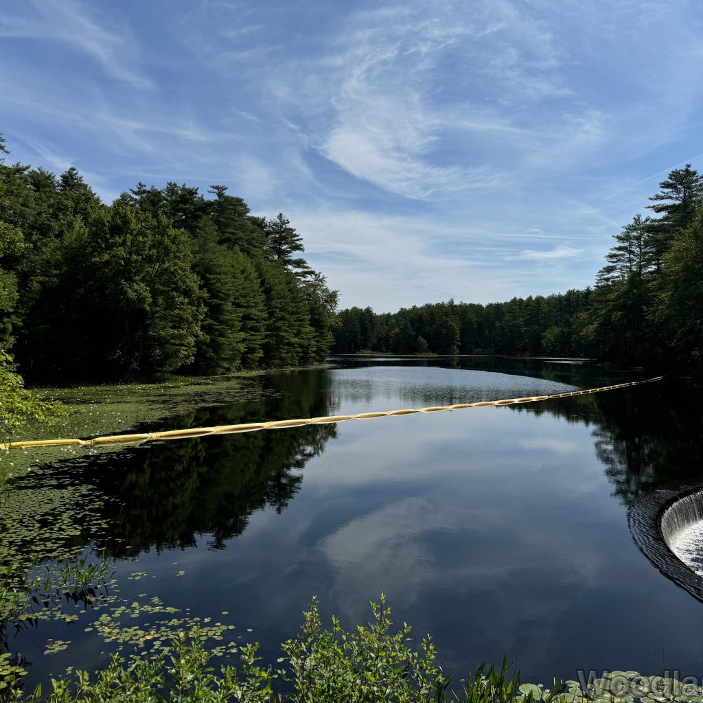 Forest-lined pond with boom protecting a horseshoe-shaped dam regulating flow into the Quabbin Reservoir