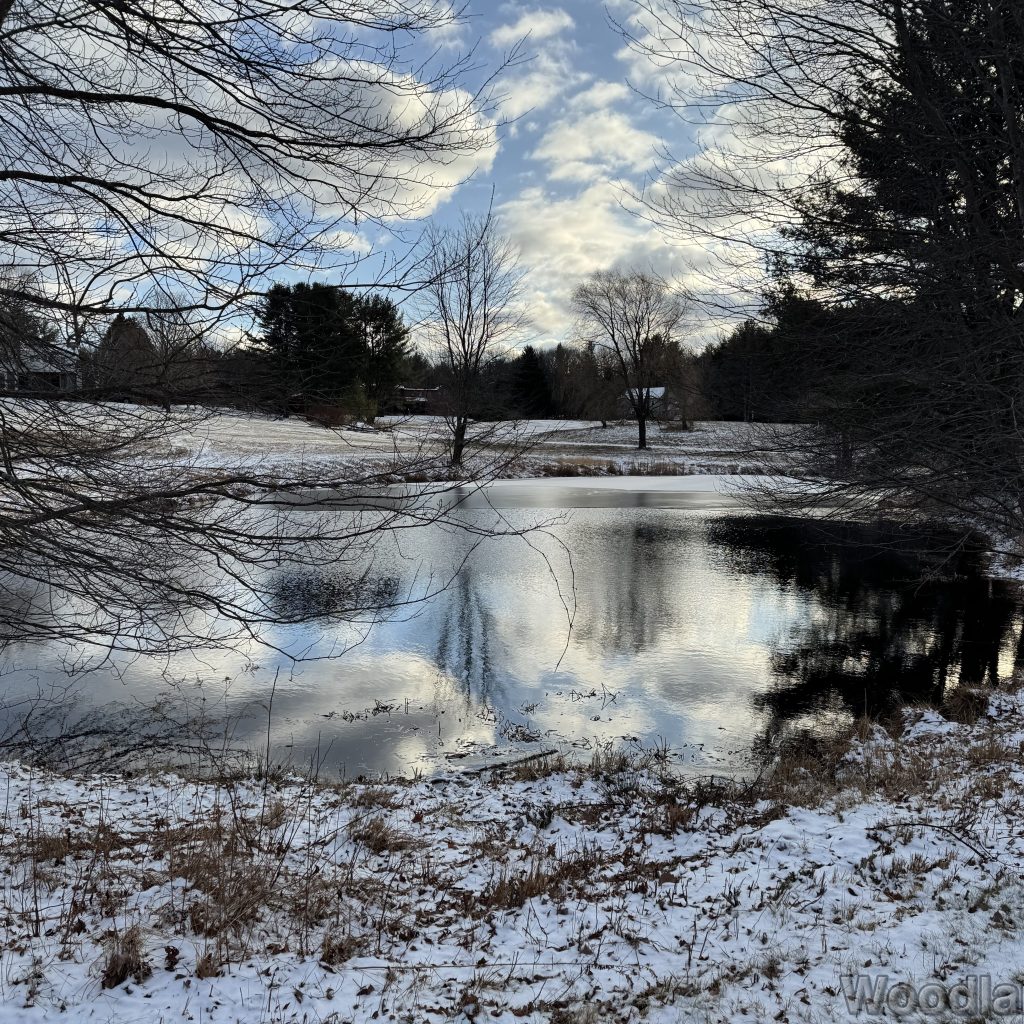 Clouds reflected on a half-frozen pond bordered by a snow-covered open field