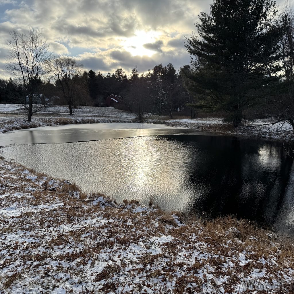 Shimmering light reflecting off soft ripples on a half-frozen pond