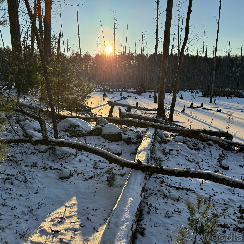 Sun low above the horizon illuminating a frozen snow-covered pond