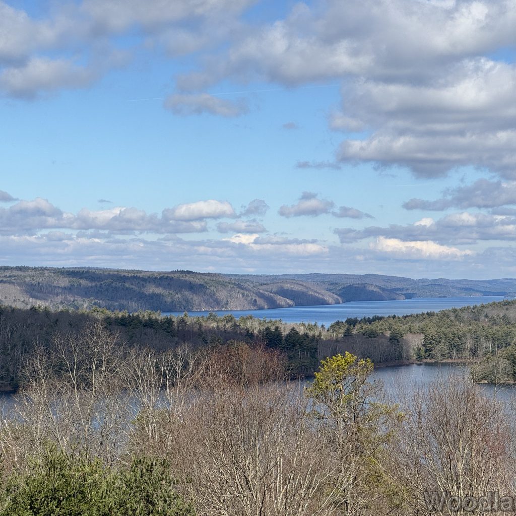 West Fork of Quabbin Reservoir viewed from Enfield Lookout, with blue water, leafless trees, and clouds casting shadows