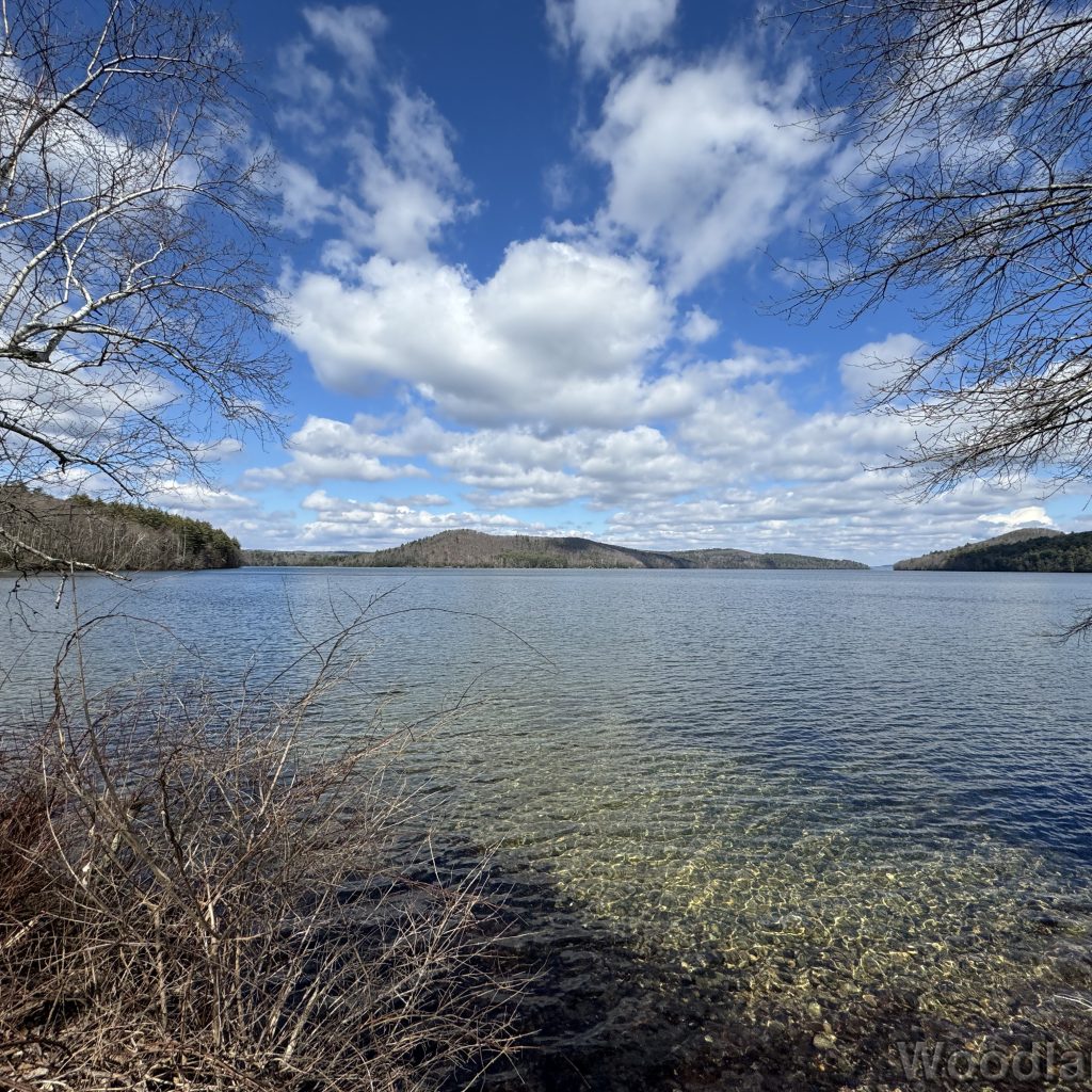 Clear, rippled water of Quabbin Reservoir in March, with leafless trees along the distant shore