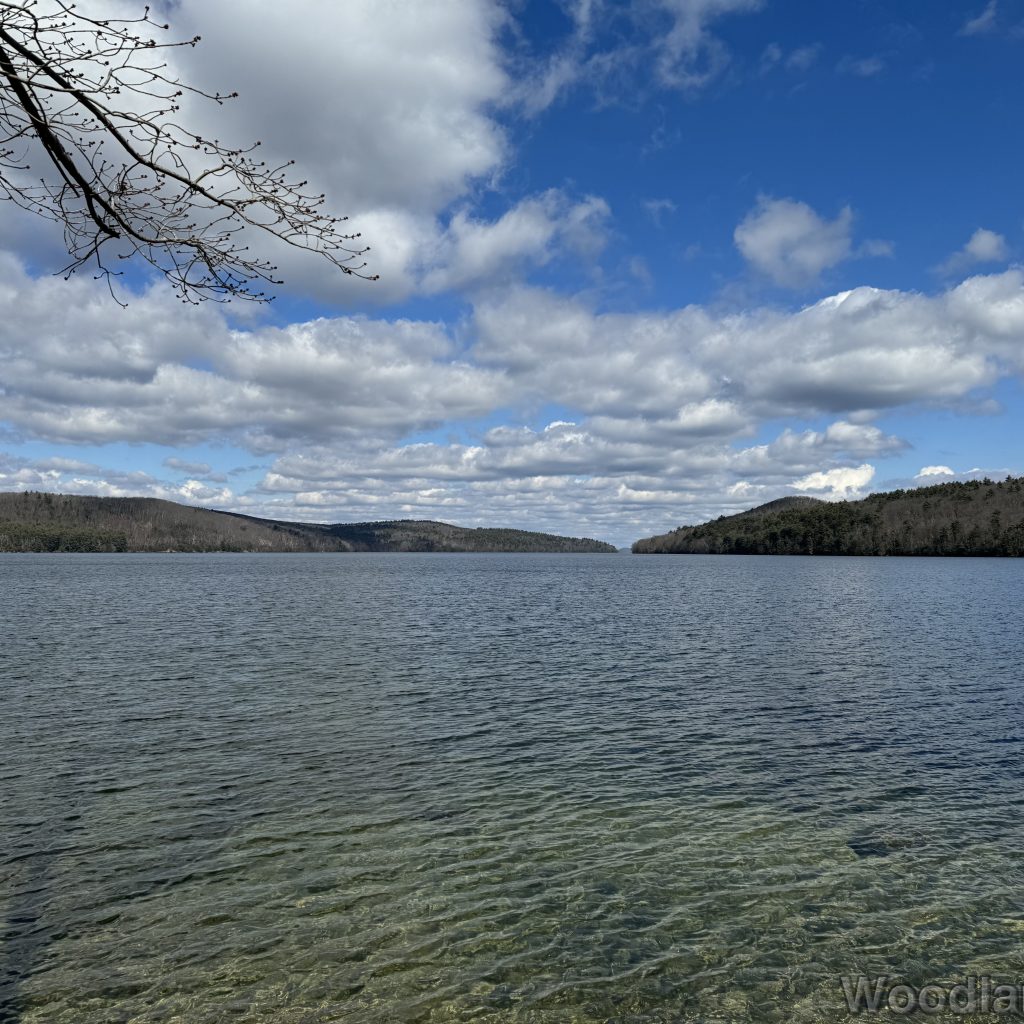 Clear, rippled water of Quabbin Reservoir in March, with leafless trees along the shore