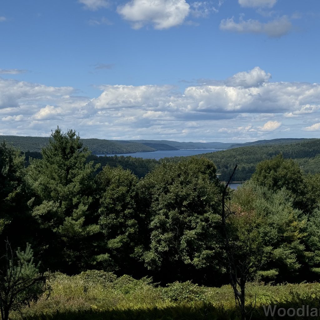 West Fork of Quabbin Reservoir viewed from Enfield Lookout, with blue water and steep distant coastline