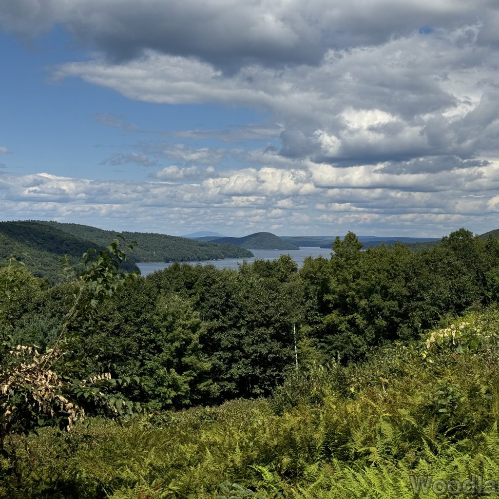 East Fork of Quabbin Reservoir viewed from Enfield Lookout, with blue water, vast forest, and Mount Monadnock in the distance