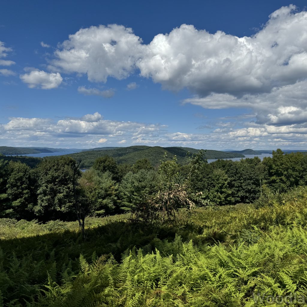 East and West Forks of Quabbin Reservoir viewed from Enfield Lookout, with blue water and vast forest