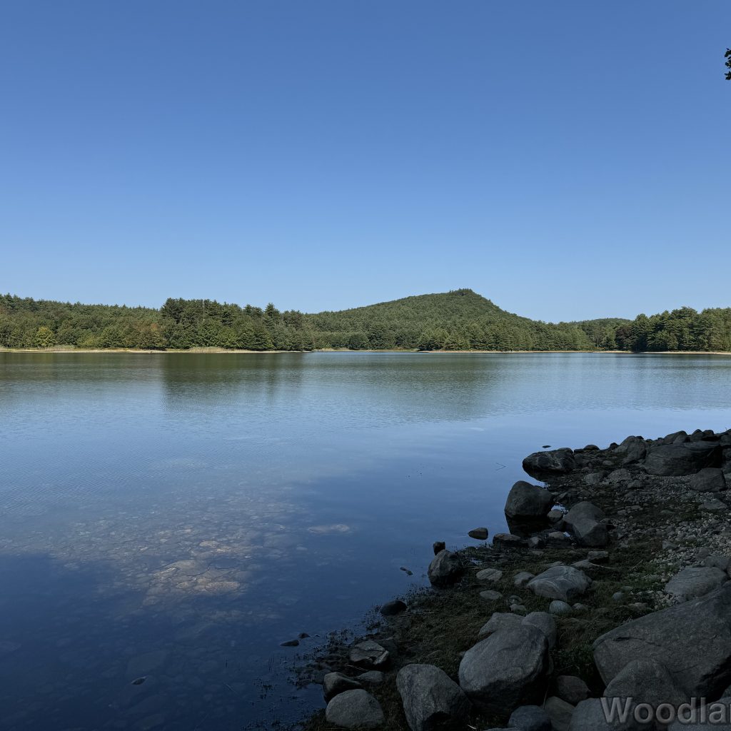 Soapstone Hill across Quabbin Reservoir, covered in dense green forest