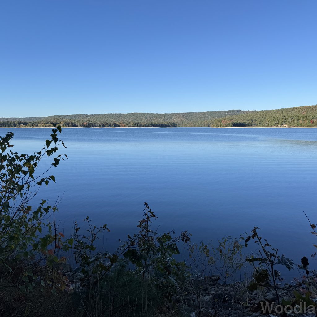 Shaded shoreline overlooking the bright blue, glassy waters of Quabbin Reservoir