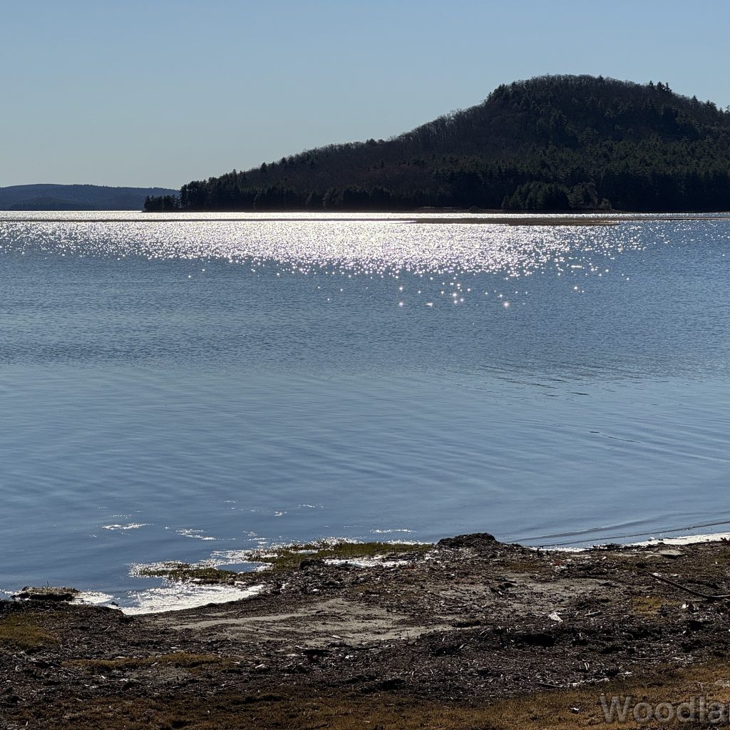 Sunlight sparkling on the surface of Quabbin Reservoir, with an island in the distance