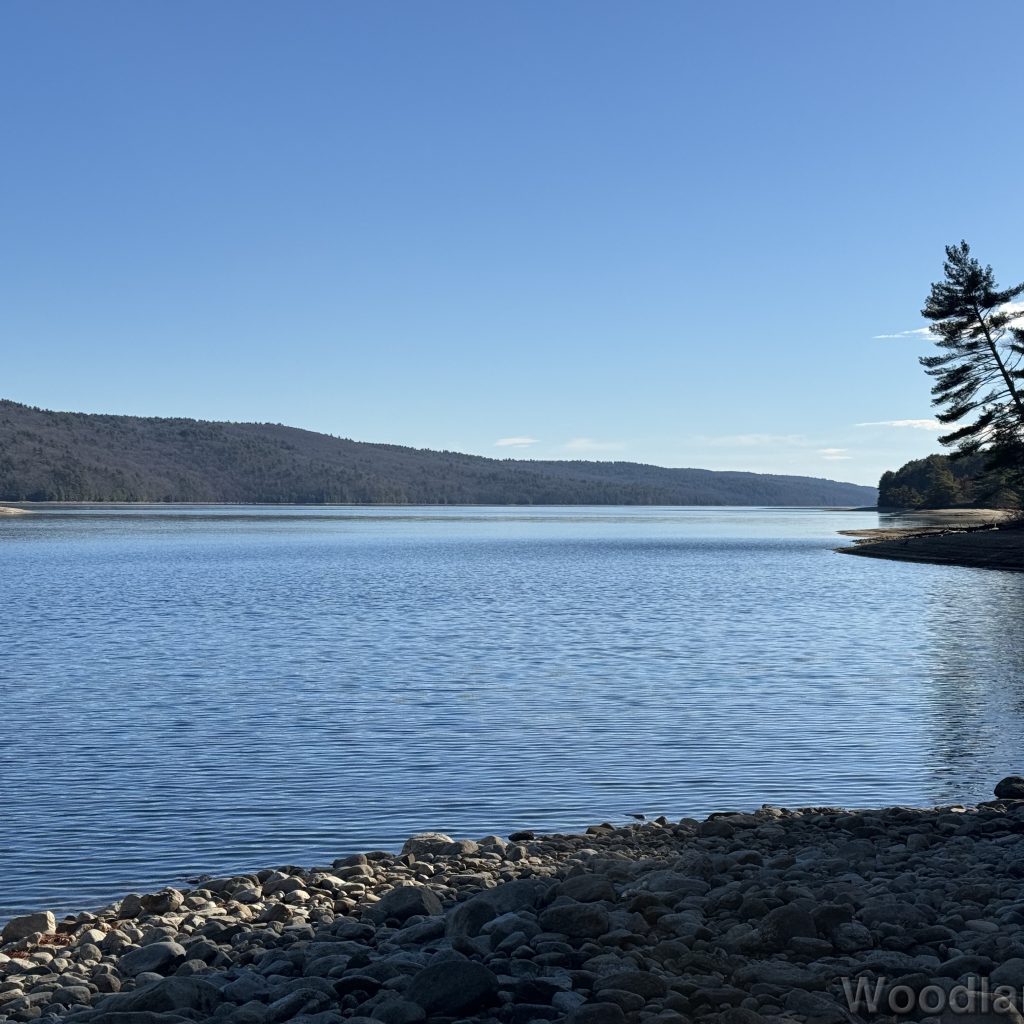 Rocky shoreline at Quabbin Reservoir with rippling water reflecting bright blue sky