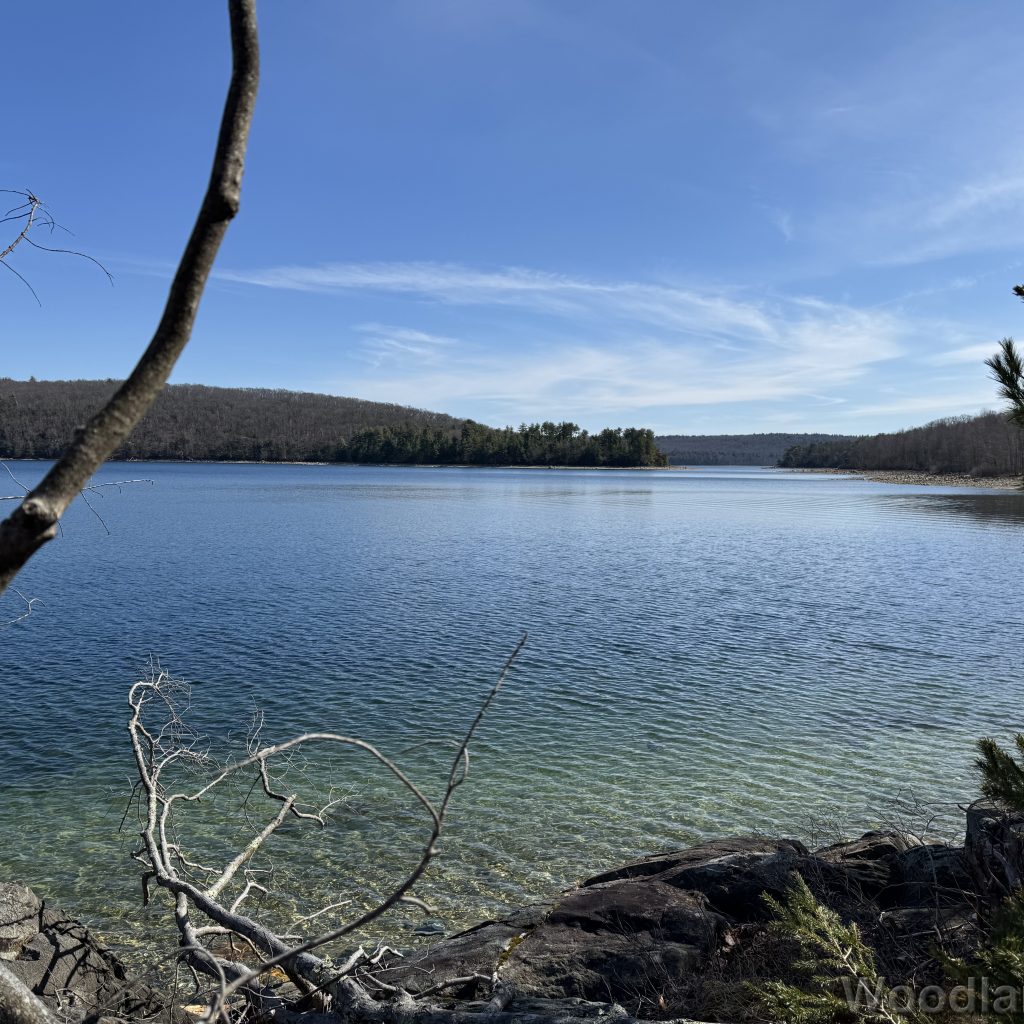 View from the shore of Quabbin Reservoir over clear blue water with gentle texture
