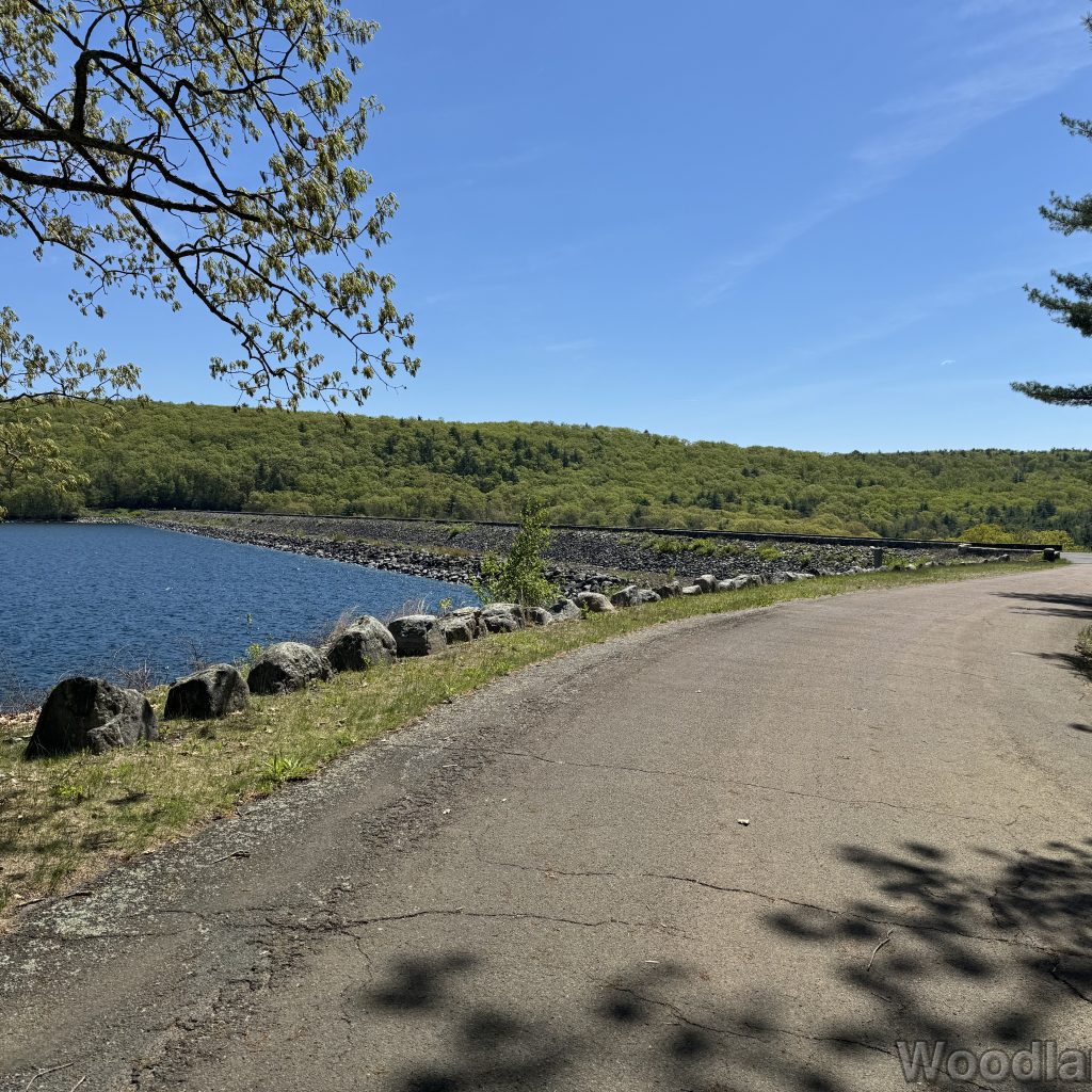 View of the Goodnough Dike with water on the near side and lush forest beyond