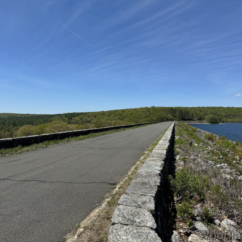 Looking down the access road atop the Goodnough Dike, with forest beyond under a clear blue sky